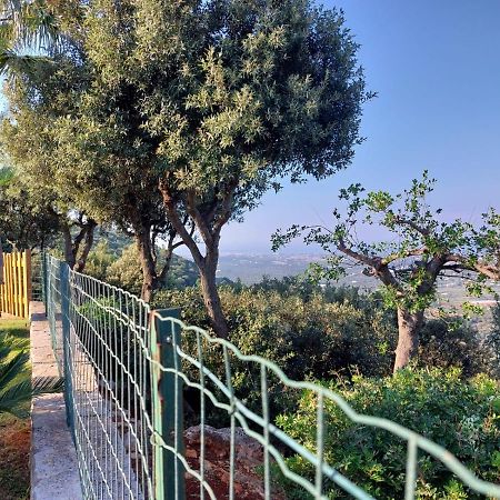 Villa Maremonti 莫诺波利 外观 照片