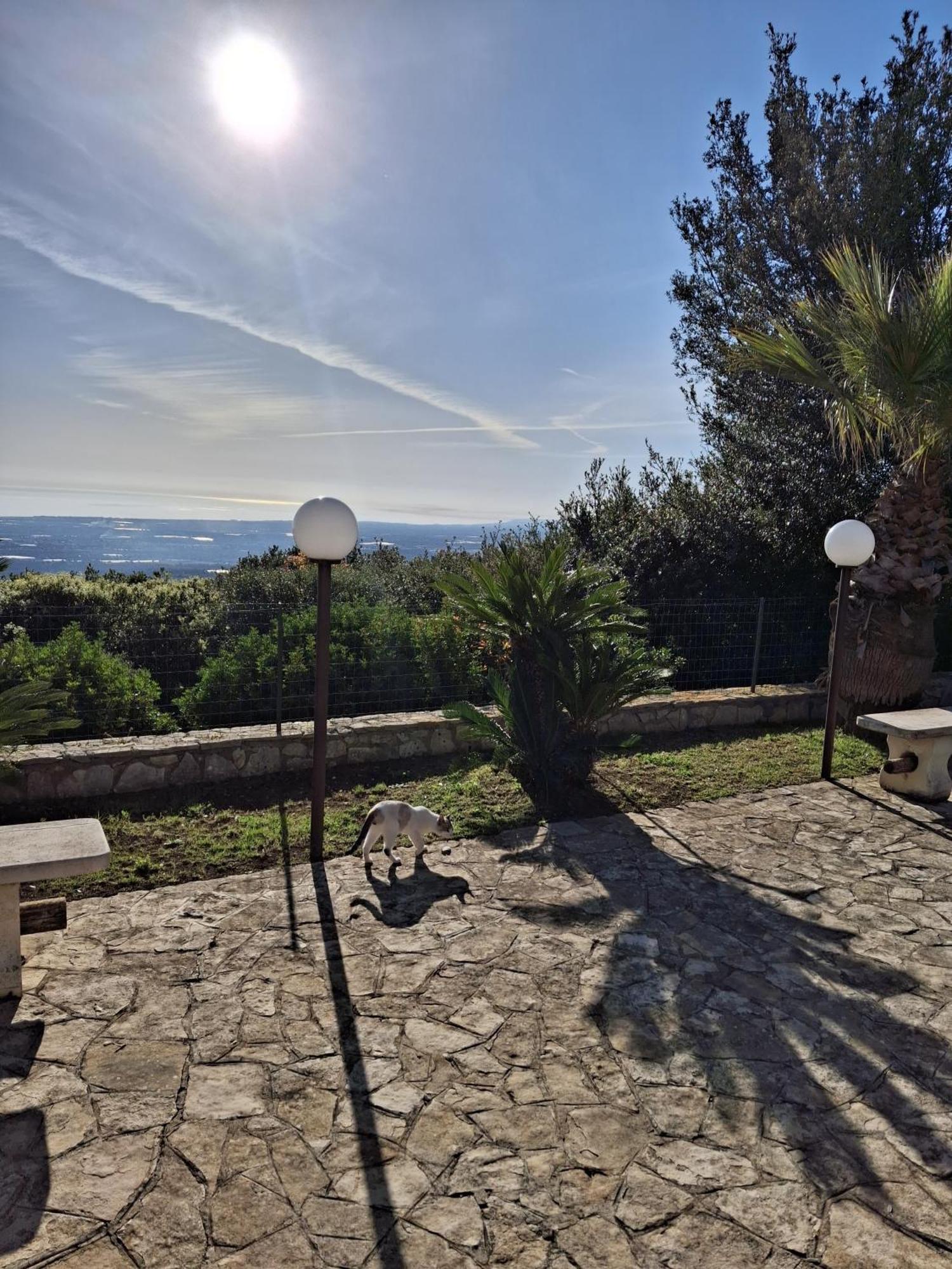 Villa Maremonti 莫诺波利 外观 照片